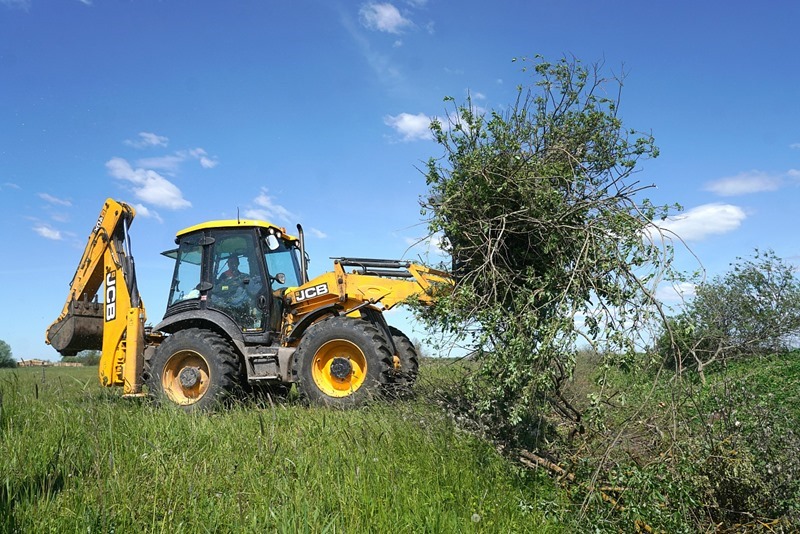 Площадь лесовосстановительных работ в Калининградской области превысила 60 гектаров