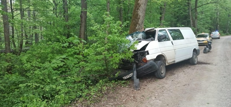 Пьяный водитель «Фольксвагена» вылетел с дороги в дерево 