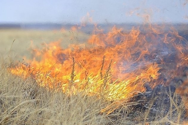 В Калининградской области вновь начали жечь траву