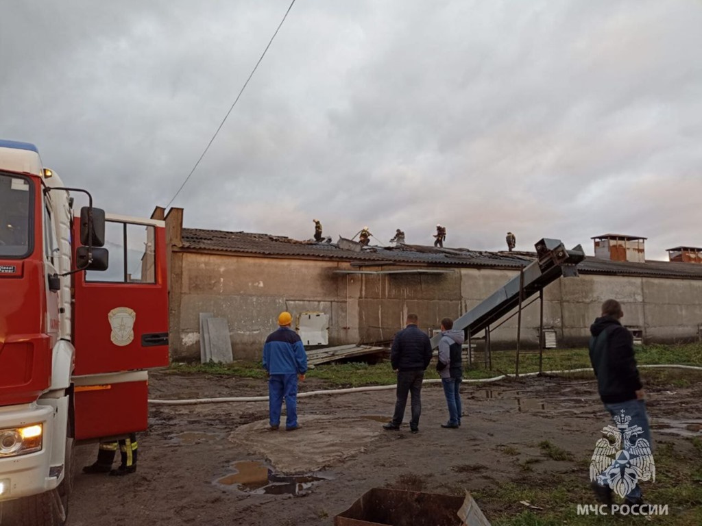 Загорелся «Балтптицепром» | 07.11.2023 | Новости Калининграда - БезФормата