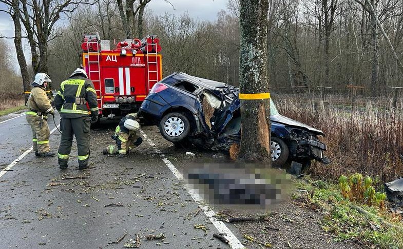 Водитель и пассажирка погибли после столкновения «Опеля» с деревом
