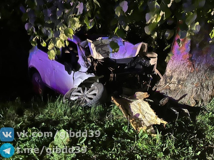 42-летний водитель «Форда» погиб после столкновения с деревом в Высоком