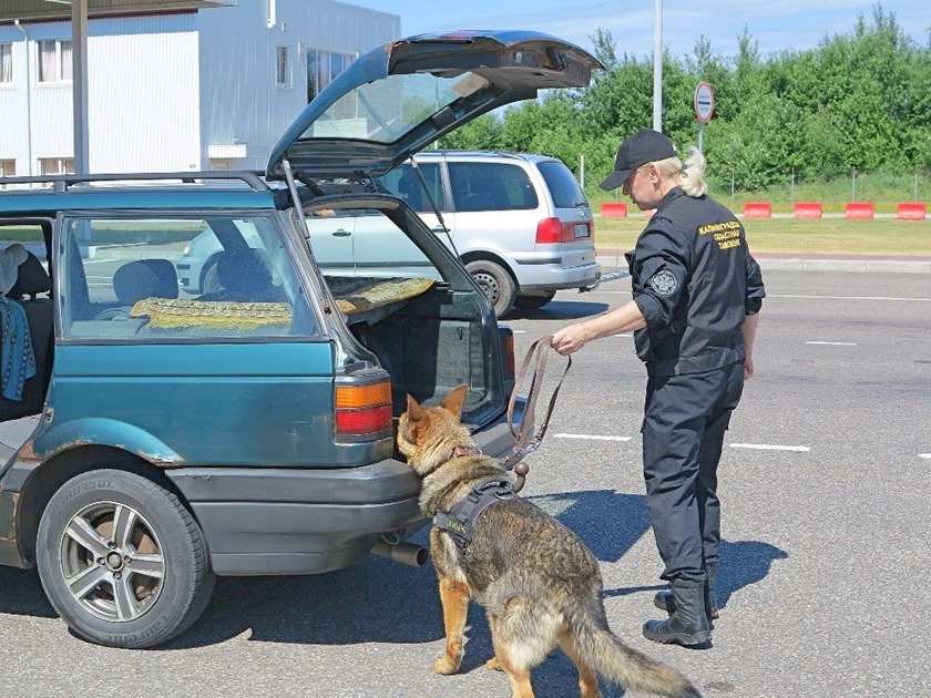 В Калининградскую область за сутки прибыло 129 грузовых и 336 легковых автомобилей