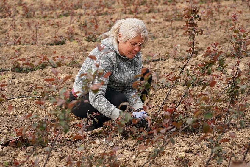 Более 1,8 тысячи калининградцев получают повышенную пенсию за работу в сельском хозяйстве