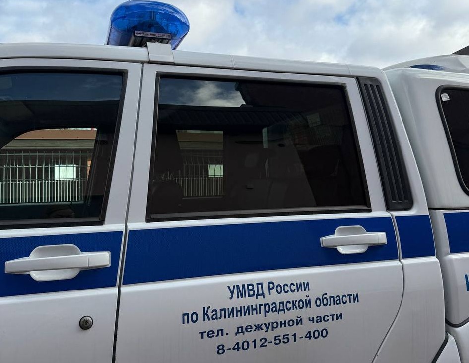 В Черняховске женщина предстанет перед судом за нападение на собутыльника