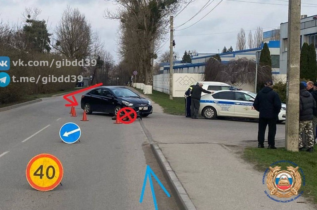 В Калининграде после наезда на велосипедиста возбуждено уголовное дело
