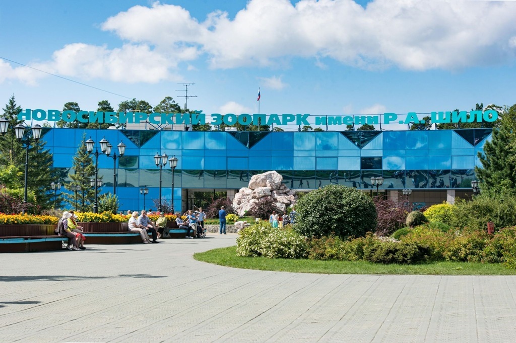 Японская макака Китана отправилась из Калининграда в зоопарк Новосибирска