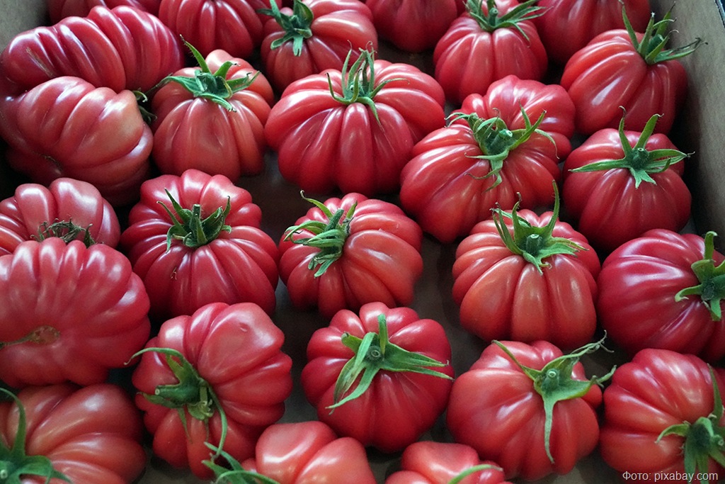 9 тысяч тонн импортной плодоовощной продукции поступило в Калининградскую область