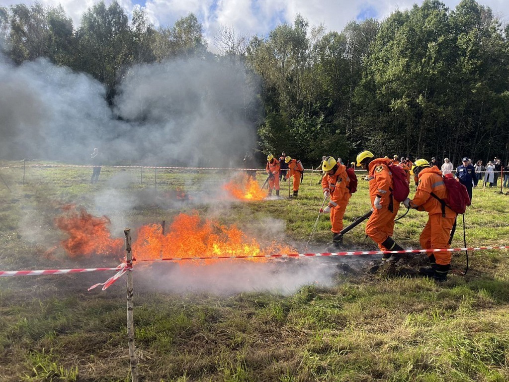 Лесные пожарные Калининградской области соревновались в мастерстве Лесные пожарные Калининградской области соревновались в мастерстве