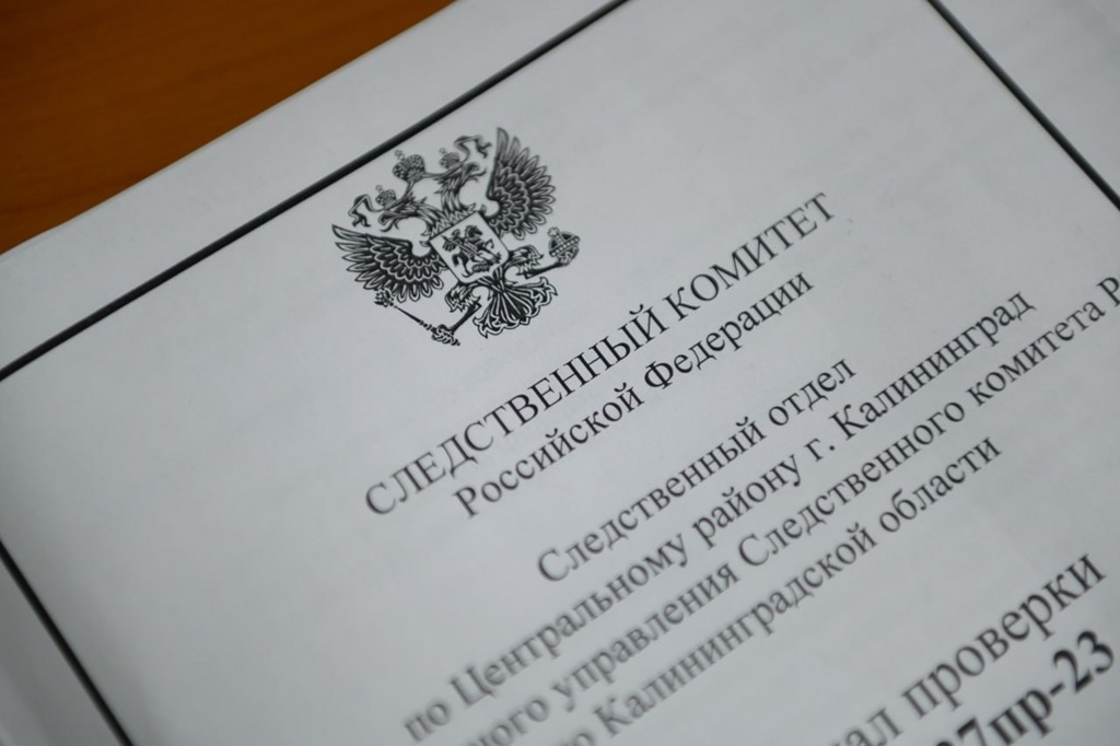Уголовное дело о нападении на полицейского в калининградском парке передано в суд