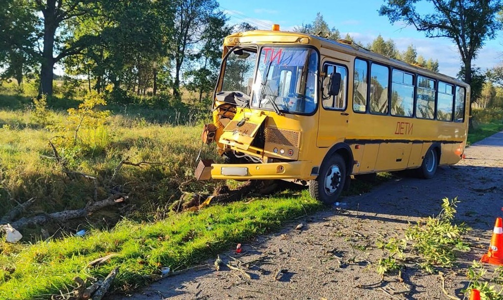 Школьный автобус с детьми попал в ДТП