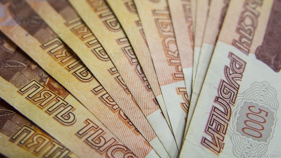 Калининградка обвиняется в растрате 1,1 млн рублей племянницы
