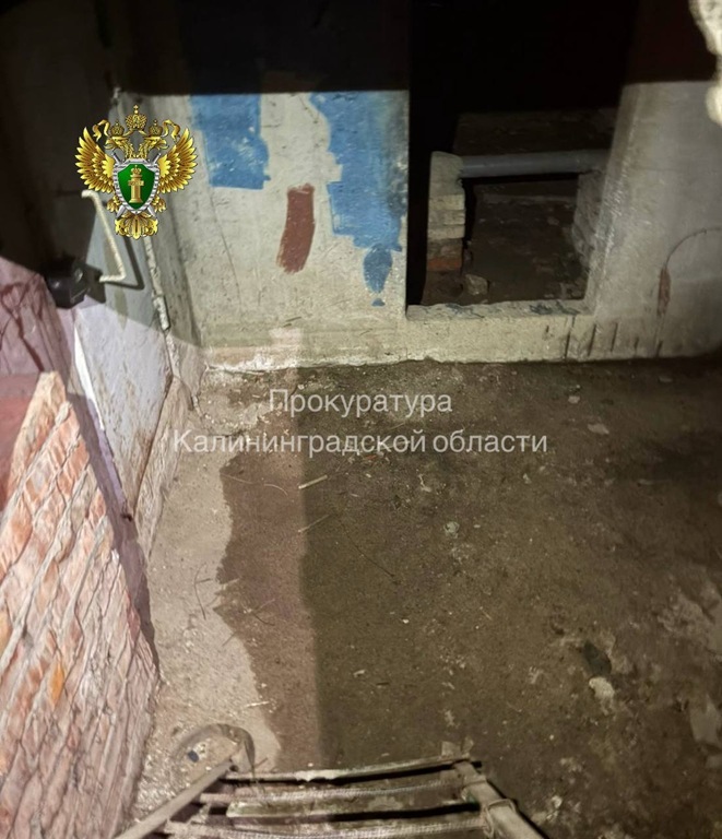 Калининградцы жалуются на затопленный подвал Калининградцы жалуются на затопленный подвал