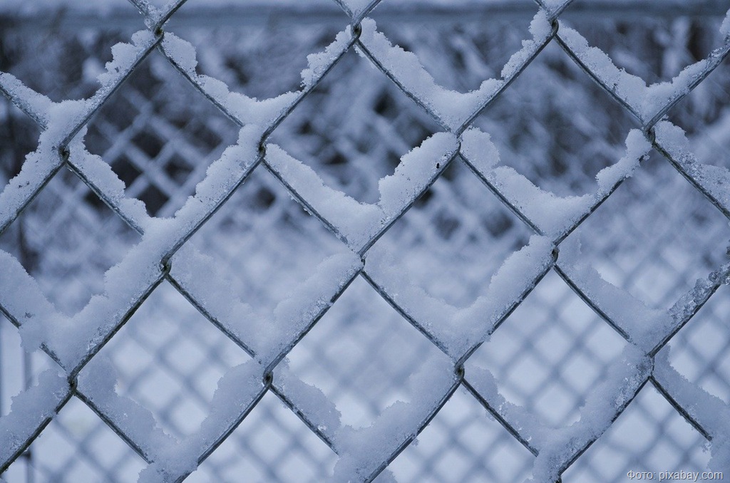 В Калининградскую область идёт снежный циклон В Калининградскую область идёт снежный циклон