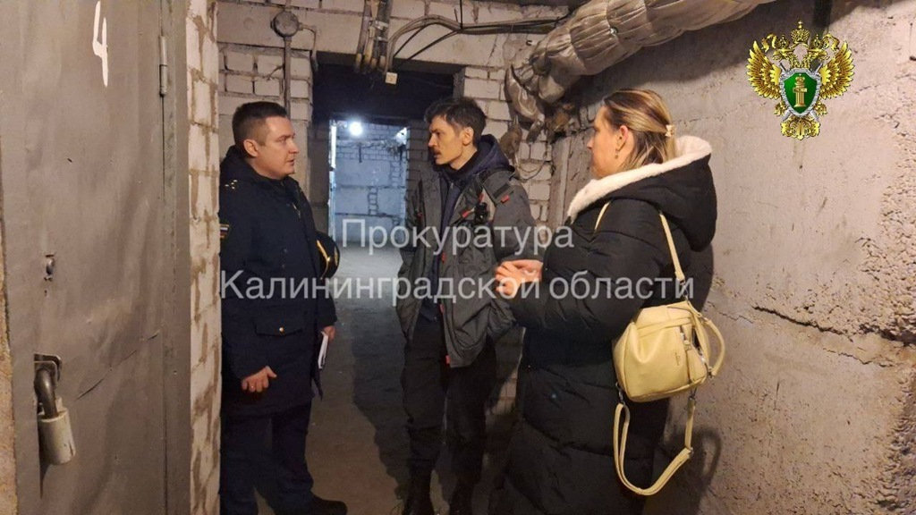 photo_2025-11-29_10-11-03