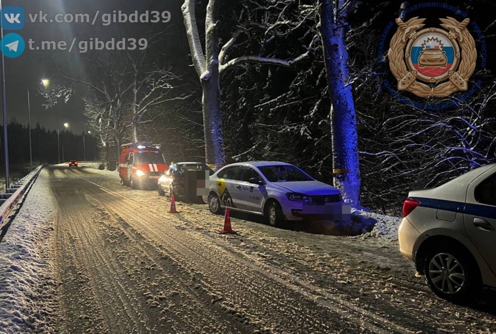 Водитель Volkswagen вылетел на встречку и врезался в дерево под Калининградом