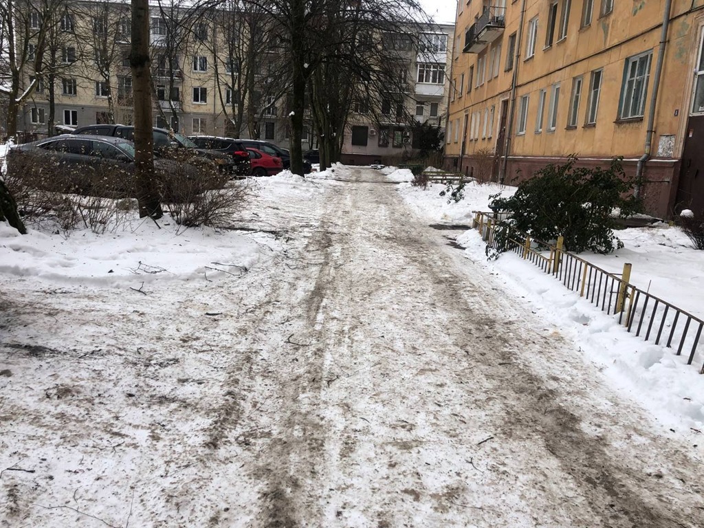 В Калининграде гололёд завтра не будет считаться неуважительной причиной пропуска школы
