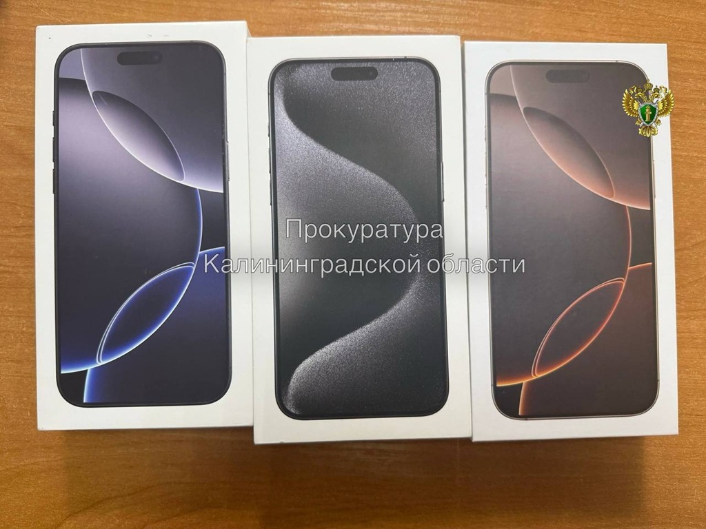«Муляжи вместо айфонов»: дело калининградского мошенника дошло до суда «Муляжи вместо айфонов»: дело калининградского мошенника дошло до суда